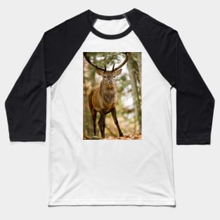 Elk Baseball T-Shirt